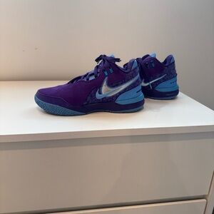 Nike Zoom LeBron NXXT Gen AMPD "Summit Lake Hornets" size 7.5